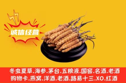 红岗区回收冬虫夏草